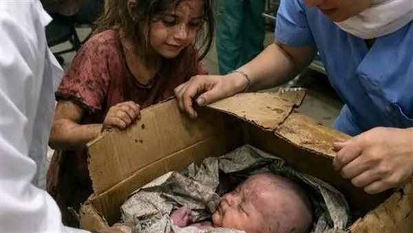 لمحة نيوز