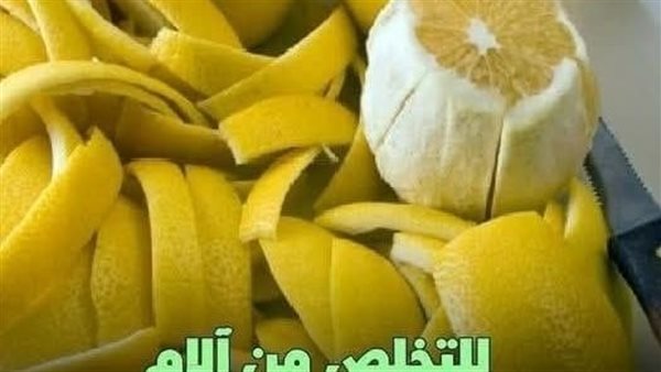 لمحة نيوز